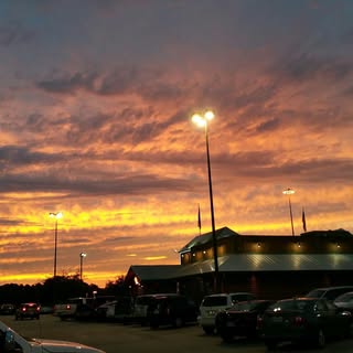 Profile Picture of Nancy Giddings (@giddingsnancy) on Instagram