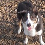 Profile Picture of Paul Yeates (@paul.yeates) on Instagram