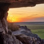 Profile Picture of David Liebelt (@mykakadubackyard) on Instagram