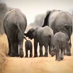 Profile Picture of Sophia 김민정 (@sophia_mj_kim) on Instagram