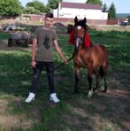 Profile Picture of Darius Trif (@Darius-Trif) on Facebook