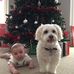 Profile Picture of Glenda Reither (@glenda.reither.3) on Facebook