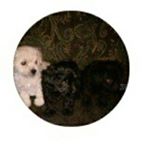 Profile Picture of ruby_briseno (@ruby_briseno_2121) on Instagram