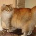 Profile Picture of H.Carroll Mathews (@64hcarrollm) on Pinterest