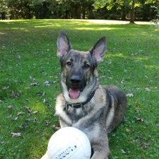 Profile Picture of Keith Otto (@KeithOt42516086) on Twitter