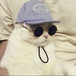 Profile Picture of Jair Nicolás Lazos (@nick_.ssj) on Instagram