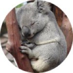 Profile Picture of Nathan Schnabel (@nathann0_0) on Instagram