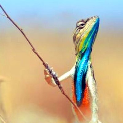 Profile Picture of Joseph Parson (@josephp89651375) on Twitter