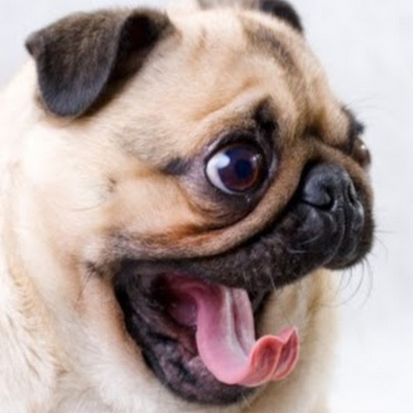 Profile Picture of Paige Saunders (@saundpai000) on Poshmark