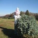 Profile Picture of Michael Sciascia (@michael.sciascia.3) on Instagram