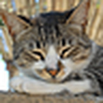 Profile Picture of Juana La Barba (@juanalabarba) on Flickr