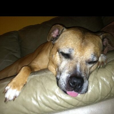 Chris Carey - Twitter Profile Picture of Chris Carey (@@K1ngKris) on Twitter