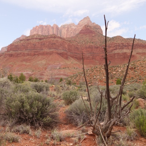 Profile Picture of Lark Cratty (@larkcratty) on Poshmark