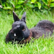 Jelle Brouckaert 2 - Youtube Profile Picture of Jelle Brouckaert 2 (@jellebrouckaert2760) on Youtube