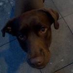 Profile Picture of David Erler (@david.erler) on Instagram