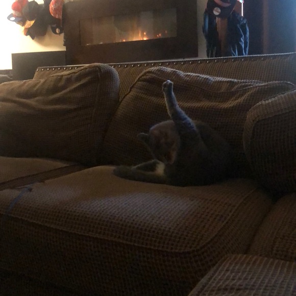 Profile Picture of Zac Corgiat (@zcorgiat) on Poshmark