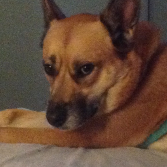 Profile Picture of Charles Schneider (@rotkop) on Poshmark