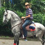 Profile Picture of luis Fernando Marcia Siles (@fernando_marcia_siles) on Instagram