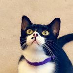 Profile Picture of Lorelei Anderson (@loreleianderson) on Instagram