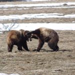 Profile Picture of Christopher Hiner (@topher_hiner) on Instagram