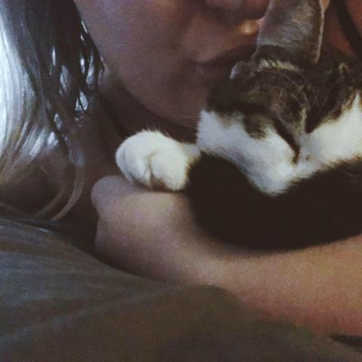 Profile Picture of Amanda Schwabe (@schwabe_amanda) on Twitter