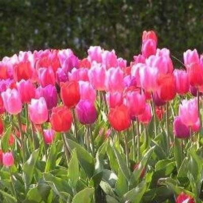 Profile Picture of Yany Claudia Lara Ma (@YanyClaudiaLara) on Twitter