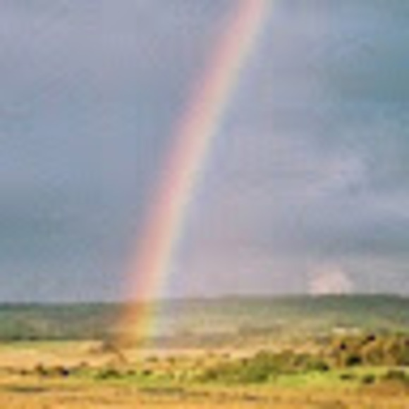 Profile Picture of Jordan Solofa (@jordansolofa) on Poshmark