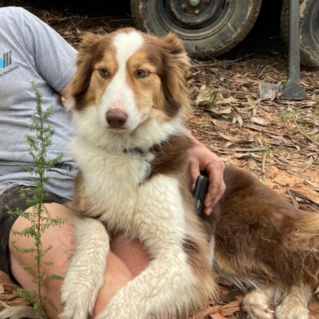 Daniel Wathen - Tiktok Profile Picture of Daniel Wathen (@@danielwathen) on Tiktok