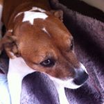 Profile Picture of Karl Hilton (@karlkid123) on Instagram