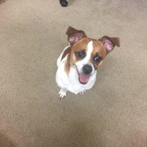 Profile Picture of Pham Anh (@anhpham1990) on Poshmark