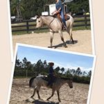 Profile Picture of Cathy Allen (@cathy.allen.9484) on Instagram