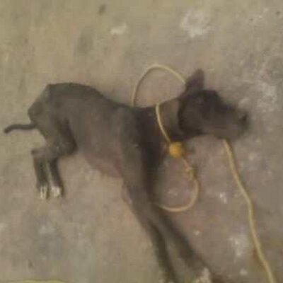 Profile Picture of Muthu Kumar (@muthu_ravi) on Twitter