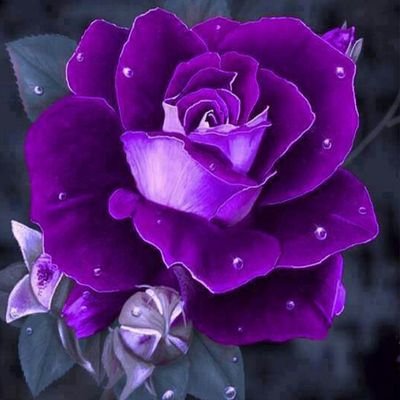 Profile Picture of Julianna Jacobs (@JuliannaJacob19) on Twitter