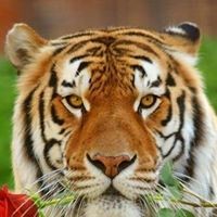 Profile Picture of Jasmine Lander (@jasmine-lander-1) on Quora