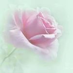 Profile Picture of Peggy Neat Oates (@peggy.oates) on Instagram