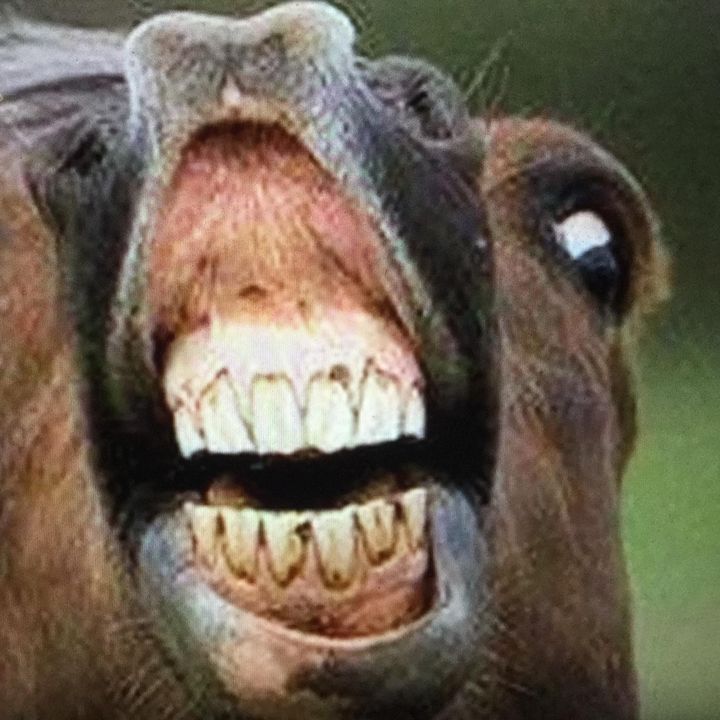 Profile Picture of troy.lehmann (@chugboy) on Tiktok