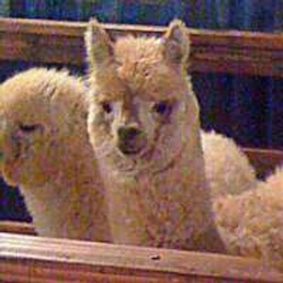 Profile Picture of Justin Benedict (@jmrbwitter) on Twitter