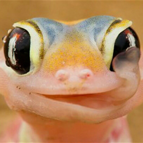 Profile Picture of Erin Keckler (@eeeeeerin64) on Poshmark