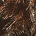 Profile Picture of Jonathon.Fenwick (@furrywall.inc) on Instagram