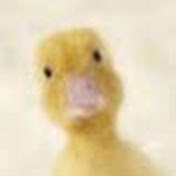 Profile Picture of Corey Haywood (@thefallendevil0654) on Youtube