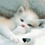 Profile Picture of sarah michalski (@michalski1714) on Instagram