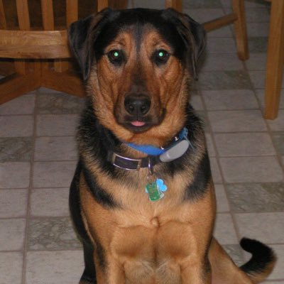 Profile Picture of David Rowles (@DavidIddoc) on Twitter