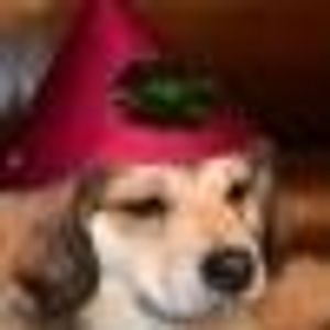 Profile Picture of Jay Javier (@110926482) on Myspace