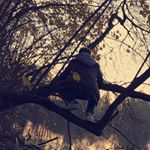 Profile Picture of Tom Neumann (@tom.nn_07) on Instagram