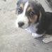 Profile Picture of Gus Scott (@gus.scott.75) on Facebook