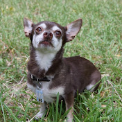 Profile Picture of Robin Deaton (@robindeaton3513) on Youtube