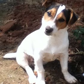 Profile Picture of Jeff Greeson (@jeffgreeson) on Pinterest