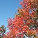 Profile Picture of Michael Hanaway (@michael.hanaway) on Facebook