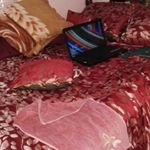 Profile Picture of Erline Joseph (@erline.j) on Instagram