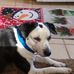 Profile Picture of Carol Stamm (@carol.stamm.73) on Facebook